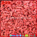 Super food goji berry dried vegetarian food goji